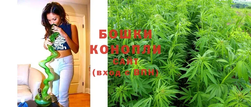 купить наркоту  KRAKEN как зайти  Шишки марихуана SATIVA & INDICA  Алатырь 